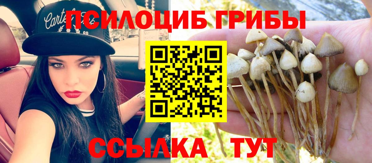 Псилоцибиновые грибы мицелий Прокопьевск