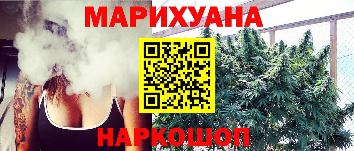 Каннабис план Прокопьевск